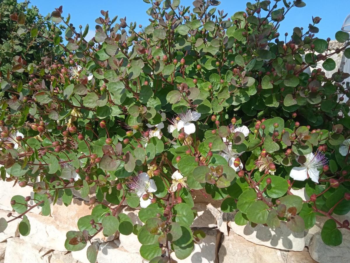 فيلا I 5 Sensi مارينا موديكا المظهر الخارجي الصورة